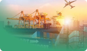 Entrusted import & Export services